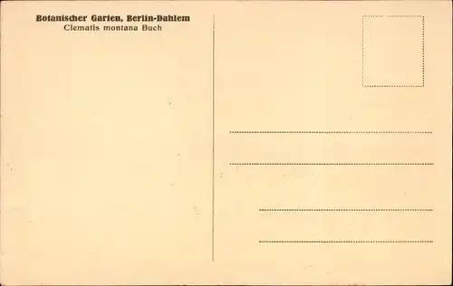 Ak Berlin Zehlendorf Dahlem, Botanischer Garten, Clematis montana Buch