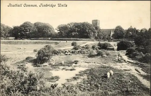 Ak Tunbridge Wells Kent England, Rusthall Common