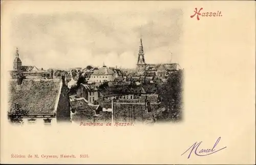 Ak Hasselt Flandern Limburg, Panorama