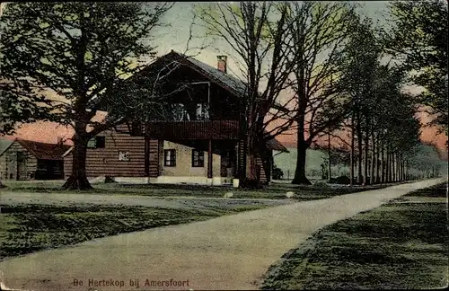 Ak Amersfoort Utrecht Niederlande, De Hertekop