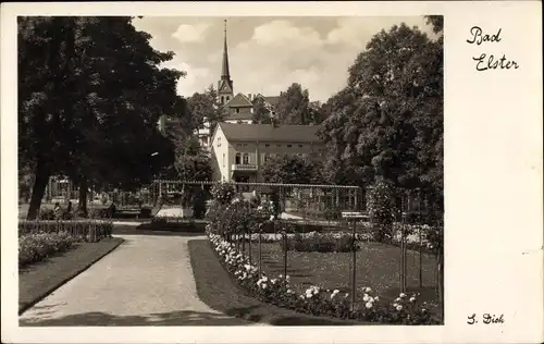 Ak Bad Elster im Vogtland, Rosengarten