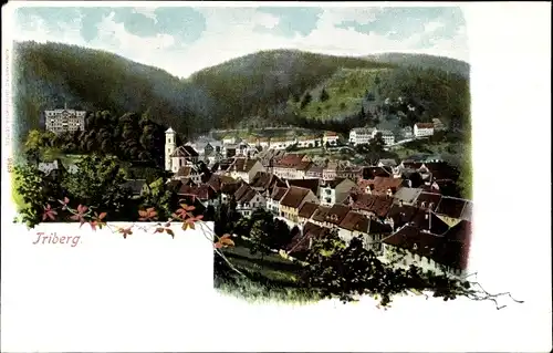 Ak Triberg im Schwarzwald, Panoramablick auf den Ort und Umgebung