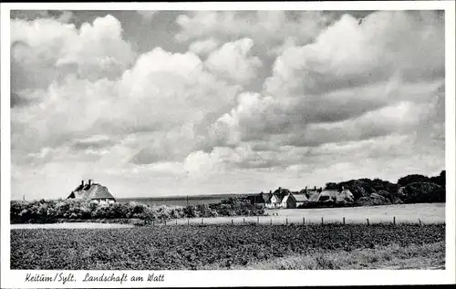 Ak Keitum auf Sylt, Landschaft am Watt