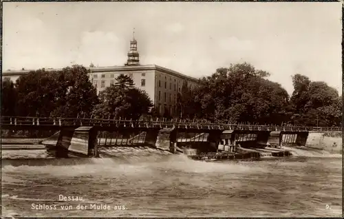 Ak Dessau in Sachsen Anhalt, Herzogl. Schloss von der Mulde aus gesehen, Wehr