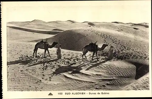 Ak Algerien, Dunes de Sables, Kamele, Araber in der Wüste, Maghreb