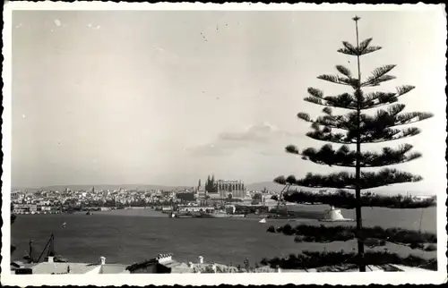 Ak Palma de Mallorca Balearische Inseln, Puerto