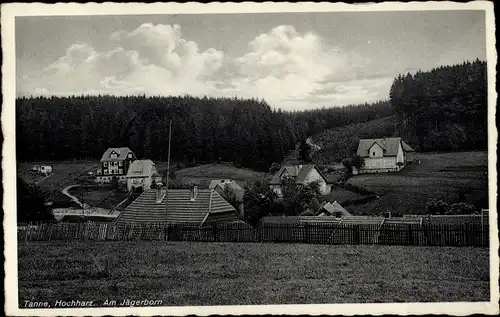 Ak Tanne Oberharz am Brocken, Am Jägerborn