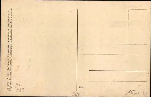 Ak Kaninchen, Holländer