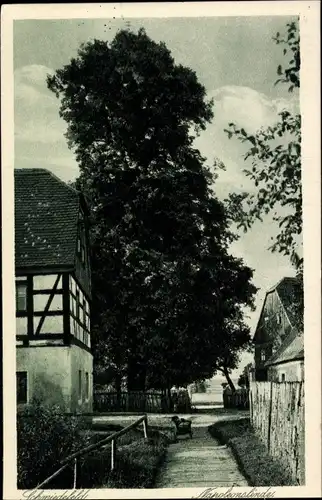 Ak Schmiedefeld Großharthau in Sachsen, Napoleonslinde