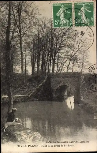 Ak Le Palais Haute Vienne, Pont de la route de St-Priest, Brücke, See, Junge mit Hund