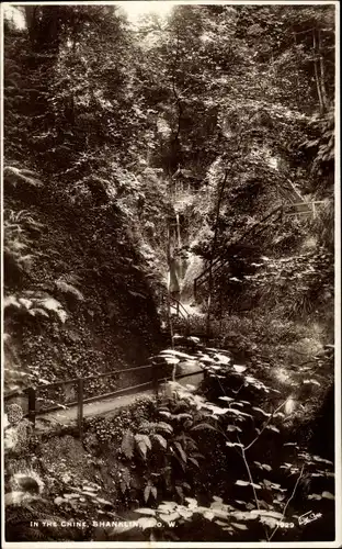 Ak Shanklin Isle of Wight South East, Waterfall