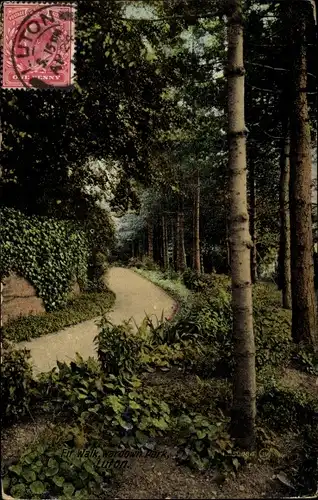 Ak Luton Bedfordshire England, Fir Walk, Wardown Park