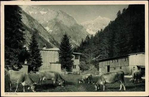 Ak Oberstdorf im Oberallgäu, Im Oytal, Oytal Wirtschaft, Kühe