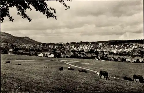 Ak Friedrichroda im Thüringer Wald, Panorama, Kühe