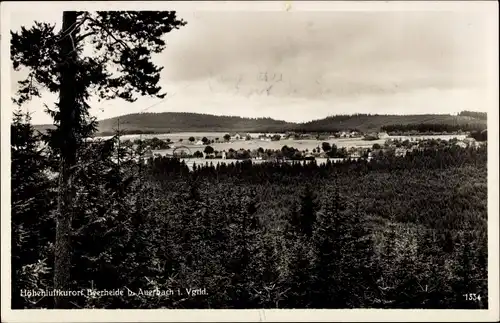 Ak Beerheide Auerbach im Vogtland Sachsen, Panorama