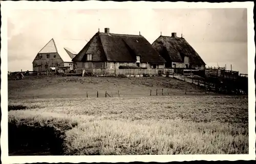 Foto Ak Hallig Hooge in Nordfriesland, Warft, Reetdachhaus