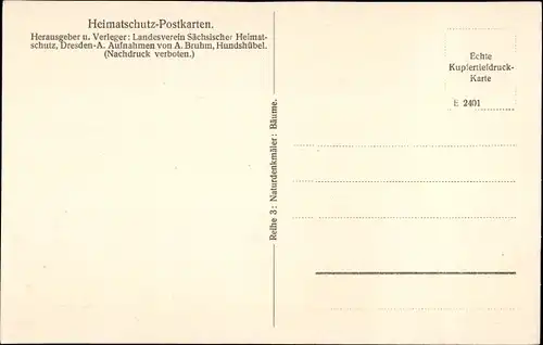 Ak Gelenau Kamenz Sachsen, Linden am Gasthof