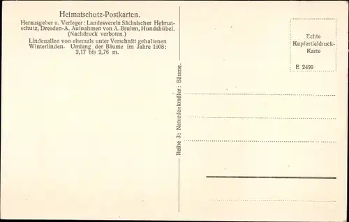 Ak Piskowitz Nebelschütz Sachsen, Lindenallee