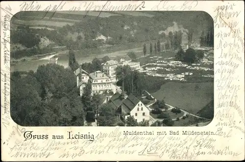 Ak Leisnig in Sachsen, Muldenthal mit Bad Mildenstein