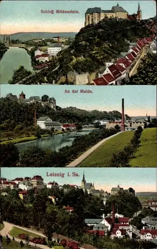 Ak Leisnig in Sachsen, Schloss Mildenstein, Mulde, Panorama