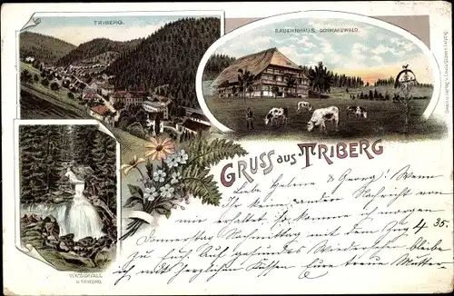 Litho Triberg im Schwarzwald, Gesamtansicht, Wasserfall, Schwarzwälder Bauernhaus, Kühe