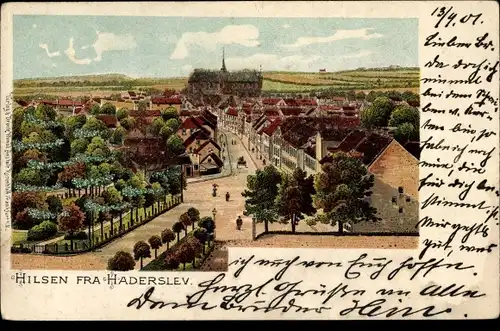 Litho Haderslev Hadersleben Dänemark, Panorama