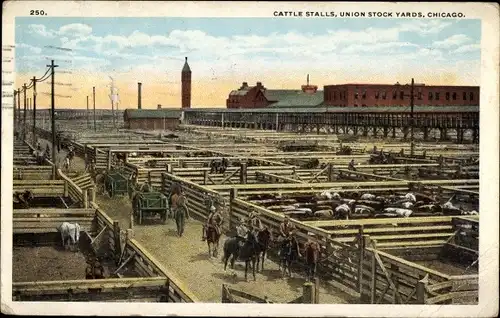 Ak Chicago Illinois USA, Cattle Stalls, Union Stock Yards