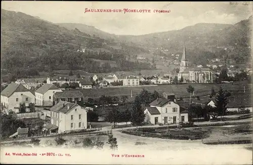 Ak Saulxures sur Moselotte Lothringen Vosges, Teilansicht