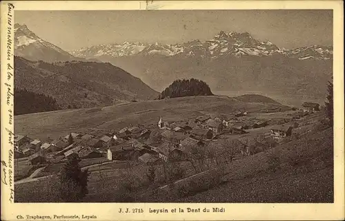 Ak Leysin Kanton Waadt, La Dent du Midi, Panorama