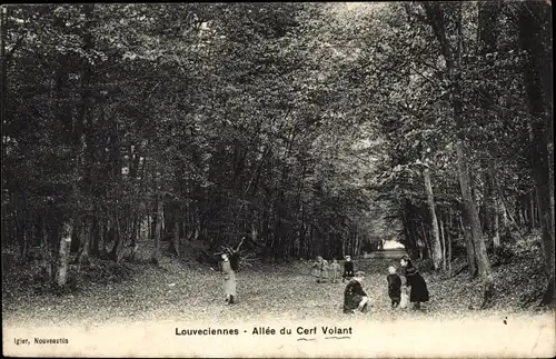 Ak Louveciennes Yvelines, Allee du Cerf Volant