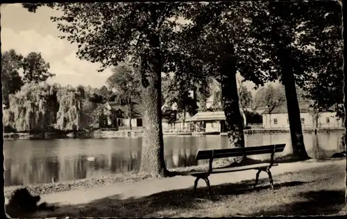 Ak Stollberg im Erzgebirge, Am Walkteich, Parkbank