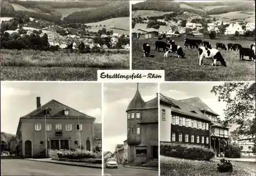 Ak Stadtlengsfeld in der Rhön Thüringen, Felda Lichtspiele, Kühe, Diät Sanatorium, Obertor