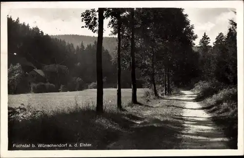 Ak Wünschendorf an der Elster, Fuchstal