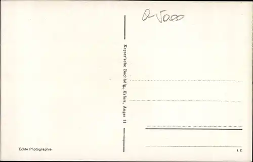 Ak Erfurt in Thüringen, Fischmarkt mit Rathaus