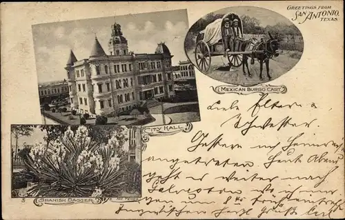 Litho San Antonio Texas USA, Mexican Burro Cart, City Hall, Spanish Dagger