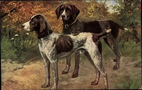 Ak Zwei Hunde, Tier-Portrait, Hund, Jagd