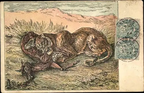 Künstler Ak Tiger mit Beute, Antilope, Raubtier