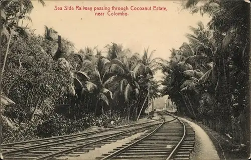 Ak Colombo Ceylon Sri Lanka, Sea Side Railway passing through Cocoanut Estate