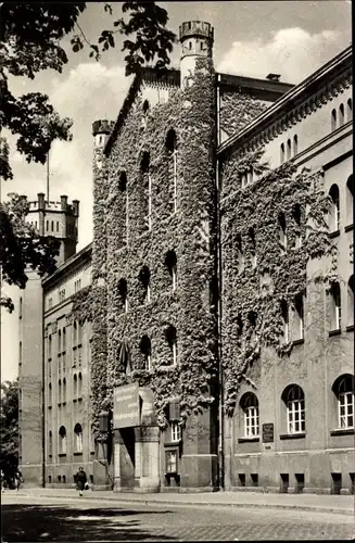 Ak Bernburg an der Saale Salzlandkreis, Rathaus, Efeu