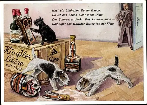 Ak Reklame, Häußler Liköre GmbH Gera, Häußler Bitter, Terrier