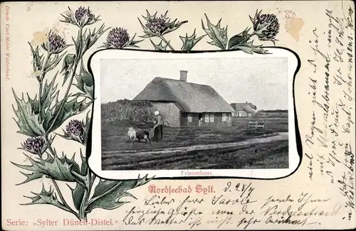 Passepartout Ak Insel Sylt in Nordfriesland, Friesenhaus, Dünendistel
