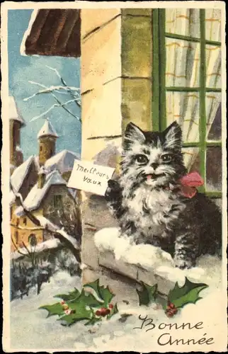 Ak Glückwunsch Neujahr, Katze am Fenster, Stechpalme