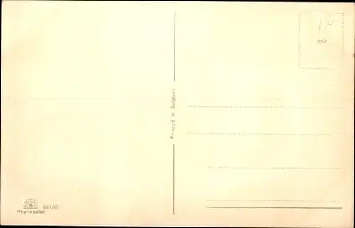 Ak Hund-Portrait, Tier-Portrait, Welpe