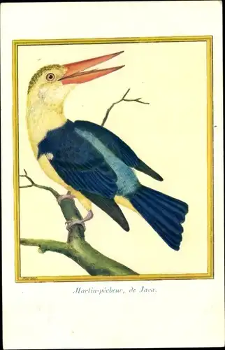 Künstler Ak Martin pecheur de Java