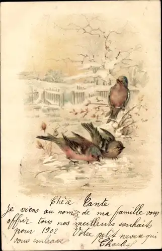 Litho Drei kleine Vögel, Winterszene, Baum, Zaun