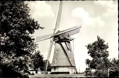 Ak Lunteren Gelderland Niederlande, Molen de Hoop, Windmühle