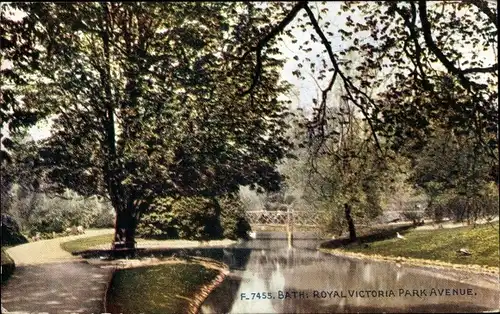 Ak Bath Somerset England, Royal Victoria Park Avenue