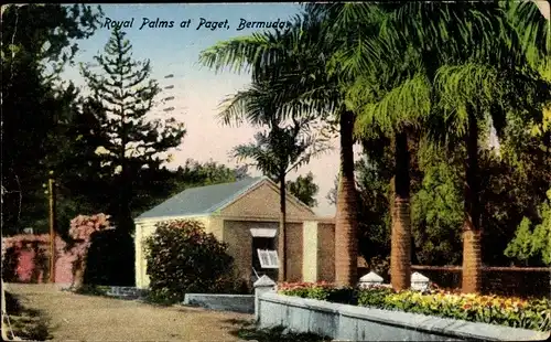 Ak Bermuda, Royal Palms at Paget