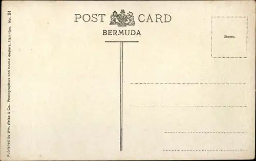 Ak Bermuda, Springfield