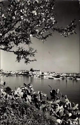 Ak Palma de Mallorca Balearische Inseln, La Catedral desde El Terreno